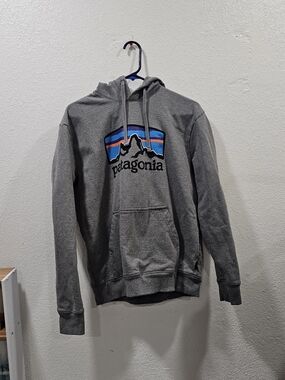 Patagonia Gray Hoodie with Multicolor Mountain Logo